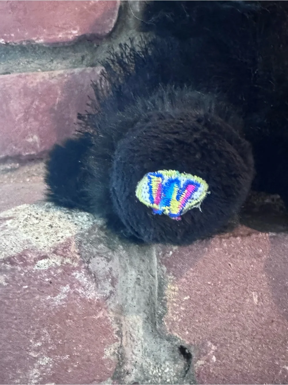 Ganz Webkinz Black Poodle Dog Plush Stuffed Animal HM191 Sealed Code Tag NEW